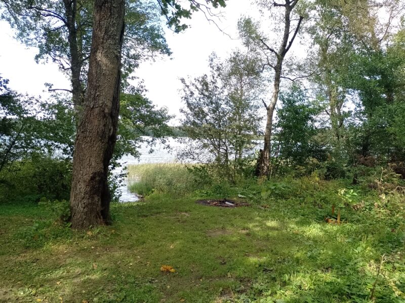 Автодорога (лыжероллеры) Н Горбово — Лызлово, состояние на 28 августа 2025 по отзыву, фото 3. 